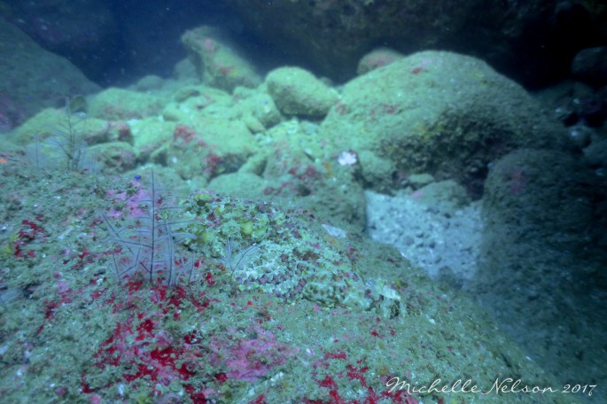 MichelleNelsonLoretoMexico2017-45